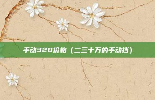 手动320价格(二三十万的手动挡)