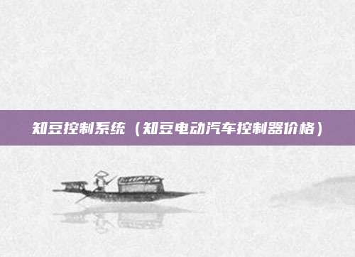 知豆控制系统(知豆电动汽车控制器价格)