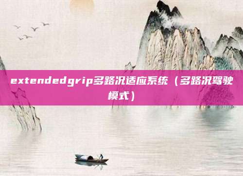 extendedgrip多路况适应系统(多路况驾驶模式)