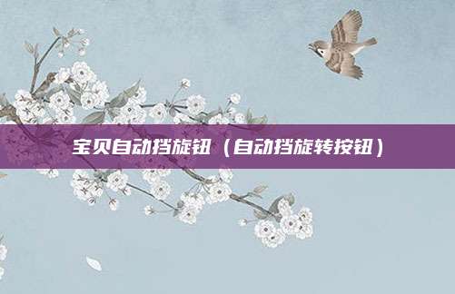 宝贝自动挡旋钮(自动挡旋转按钮)