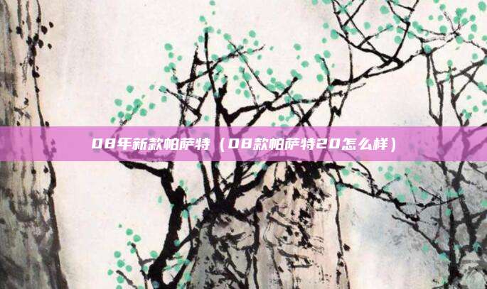 08年新款帕萨特(08款帕萨特20怎么样)