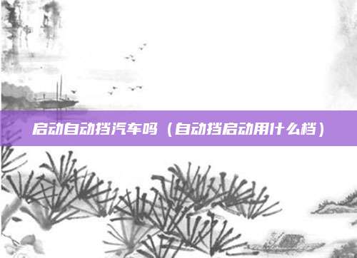 启动自动挡汽车吗（自动挡启动用什么档）