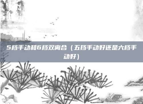 5档手动和6档双离合（五挡手动好还是六档手动好）