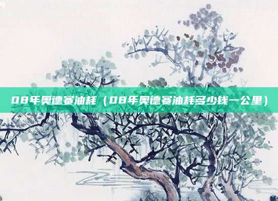 08年奥德赛油耗(08年奥德赛油耗多少钱一公里)