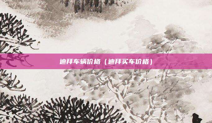 迪拜车辆价格(迪拜买车价格)