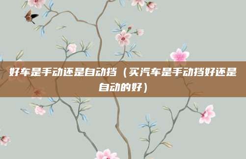 好车是手动还是自动挡（买汽车是手动挡好还是自动的好）