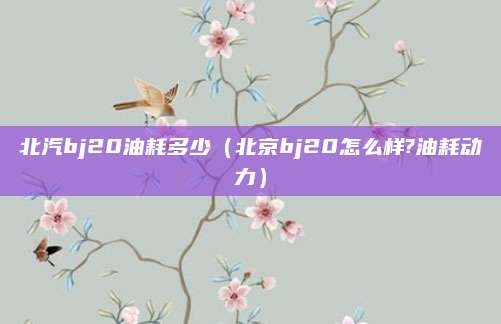 北汽bj20油耗多少（北京bj20怎么样?油耗动力）