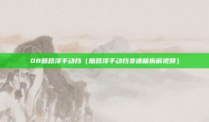 08酷路泽手动挡(酷路泽手动挡变速箱拆解视频)