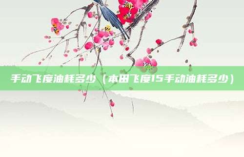 手动飞度油耗多少(本田飞度15手动油耗多少)