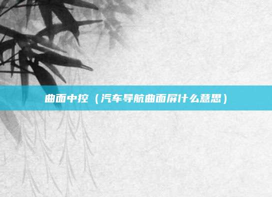 曲面中控(汽车导航曲面屏什么意思)