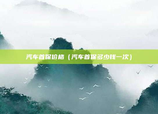 汽车首保价格(汽车首保多少钱一次)