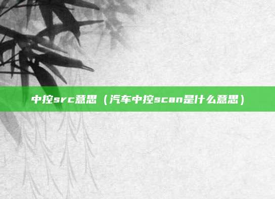 中控src意思(汽车中控scan是什么意思)
