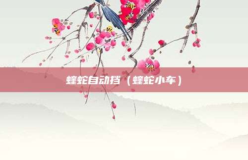 蝰蛇自动挡(蝰蛇小车)