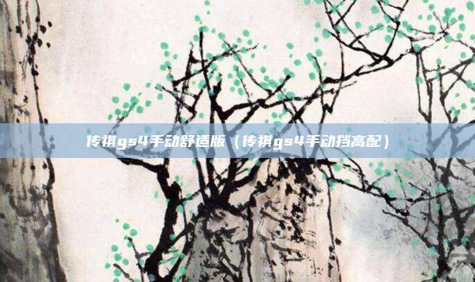 传祺gs4手动舒适版(传祺gs4手动挡高配)