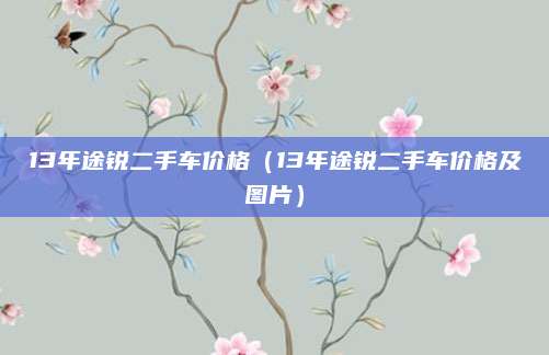 13年途锐二手车价格(13年途锐二手车价格及图片)