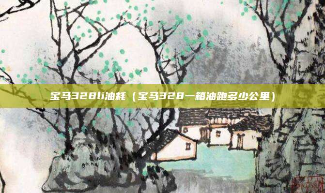 宝马328li油耗(宝马328一箱油跑多少公里)