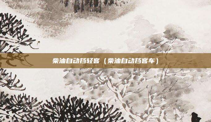 柴油自动挡轻客（柴油自动挡客车）