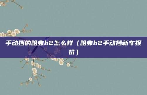 手动挡的哈弗h2怎么样(哈弗h2手动挡新车报价)
