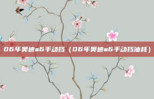 06年奥迪a6手动挡(06年奥迪a6手动挡油耗)