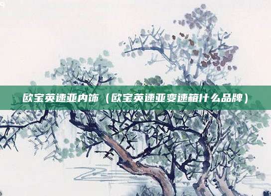 欧宝英速亚内饰(欧宝英速亚变速箱什么品牌)
