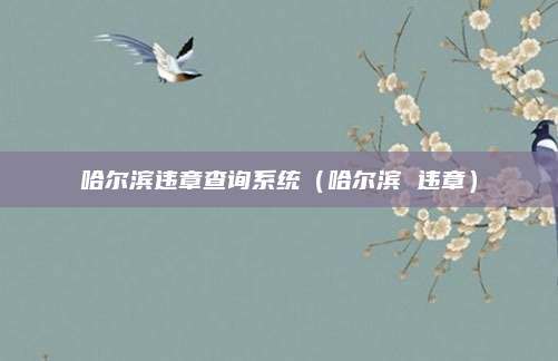 哈尔滨违章查询系统(哈尔滨 违章)