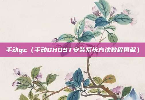 手动gc（手动GHOST安装系统方法教程图解）