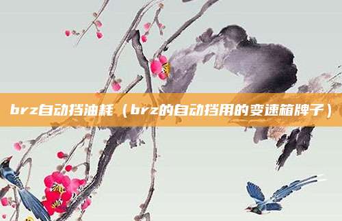 brz自动挡油耗（brz的自动挡用的变速箱牌子）