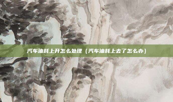 汽车油耗上升怎么处理（汽车油耗上去了怎么办）