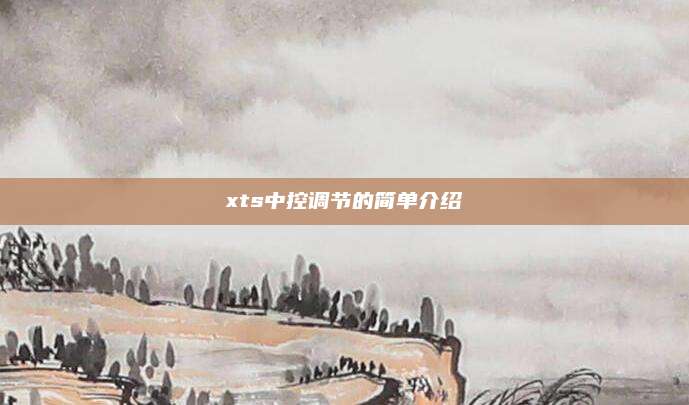 xts中控调节的简单介绍