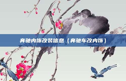 奔驰内饰改装信息(奔驰车改内饰)