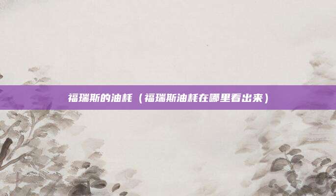 福瑞斯的油耗(福瑞斯油耗在哪里看出来)