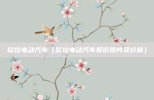 欧拉电动汽车(欧拉电动汽车报价图片及价格)