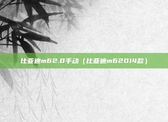 比亚迪m62.0手动(比亚迪m62014款)