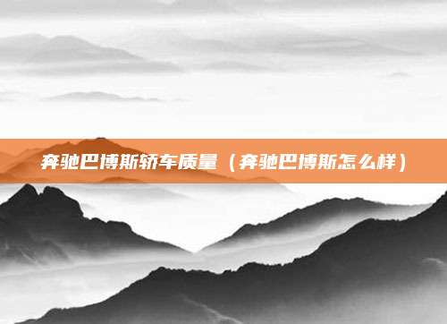 奔驰巴博斯轿车质量(奔驰巴博斯怎么样)
