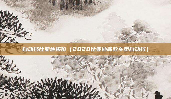 自动挡比亚迪报价（2020比亚迪新款车型自动挡）