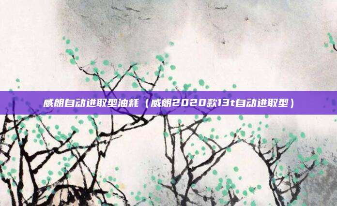 威朗自动进取型油耗（威朗2020款13t自动进取型）