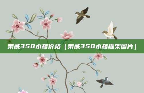 荣威350水箱价格(荣威350水箱框架图片)