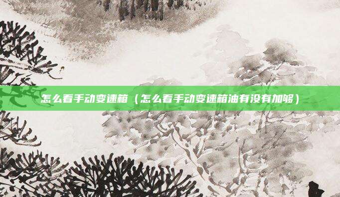 怎么看手动变速箱(怎么看手动变速箱油有没有加够)
