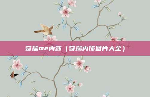 奇瑞me内饰(奇瑞内饰图片大全)