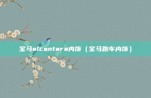 宝马alcantara内饰(宝马跑车内饰)