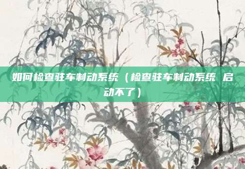 如何检查驻车制动系统(检查驻车制动系统 启动不了)
