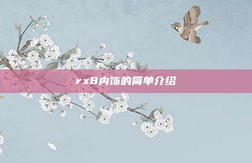 rx8内饰的简单介绍