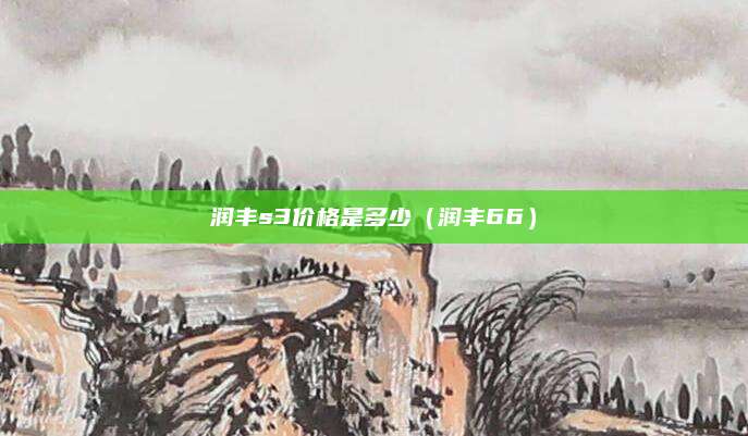 润丰s3价格是多少(润丰66)