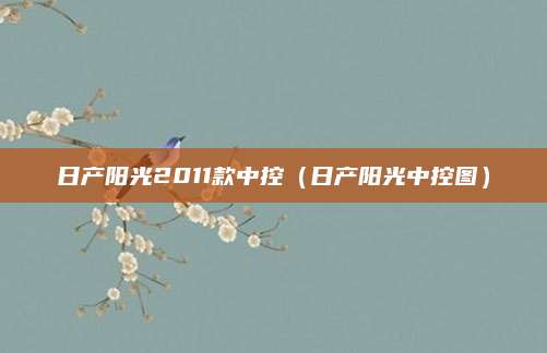 日产阳光2011款中控(日产阳光中控图)