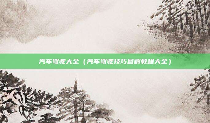 汽车驾驶大全(汽车驾驶技巧图解教程大全)
