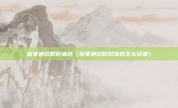 新蒙迪欧瞬时油耗(新蒙迪欧瞬时油耗怎么设置)