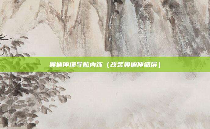 奥迪伸缩导航内饰(改装奥迪伸缩屏)