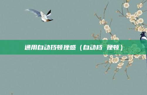 通用自动挡顿挫感（自动档 挫顿）