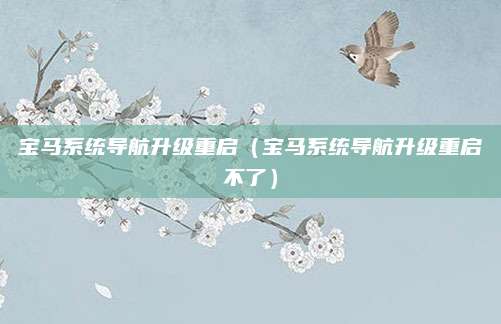 宝马系统导航升级重启(宝马系统导航升级重启不了)