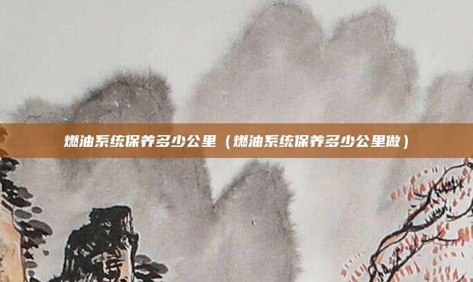 燃油系统保养多少公里(燃油系统保养多少公里做)